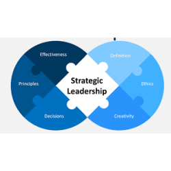 Strategic Management and Leadership - Level 7