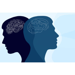 Psychology - Level 7